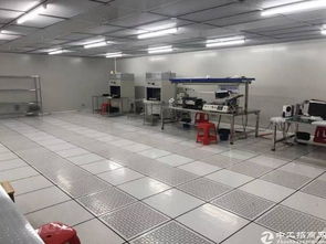 桥头原房东塑胶电子厂 3000方空间，个人护理电器产业新机遇